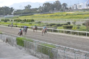 ΙΠΠΟΔΡΟΜΟΣ ΚΥΠΡΟΣ / IPPODROMOS KYPROS ΣΤΑΡΛΙΝΓΚ - ΚΥΠΕΛΛΟ 25ΗΣ ΜΑΡΤΙΟΥ - 25/03/2026