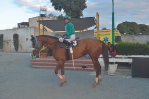 ΙΠΠΟΔΡΟΜΟΣ ΚΥΠΡΟΣ / IPPODROMOS KYPROS ΣΙ ΜΑΣΤΕΡ - 04/03/2026