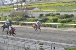 ΙΠΠΟΔΡΟΜΟΣ ΚΥΠΡΟΣ / IPPODROMOS KYPROS ΣΤΑΡΛΙΝΓΚ - ΚΥΠΕΛΛΟ 25ΗΣ ΜΑΡΤΙΟΥ - 25/03/2026