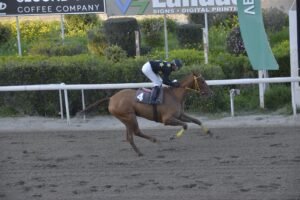 ΙΠΠΟΔΡΟΜΟΣ ΚΥΠΡΟΣ / IPPODROMOS KYPROS ΧΑΡΙΚΛΕΙΑ - 08/03/2026