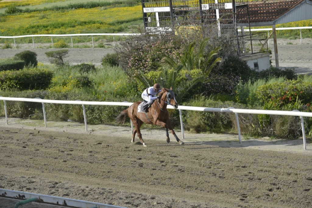 ΙΠΠΟΔΡΟΜΟΣ ΚΥΠΡΟΣ / IPPODROMOS KYPROS ΕΣΠΡΕΣΟ - 29/03/2026