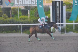 ΙΠΠΟΔΡΟΜΟΣ ΚΥΠΡΟΣ / IPPODROMOS KYPROS  ΒΙΤΤΗΣ ΚΑΣΤΡΟΣ - 01/03/2026