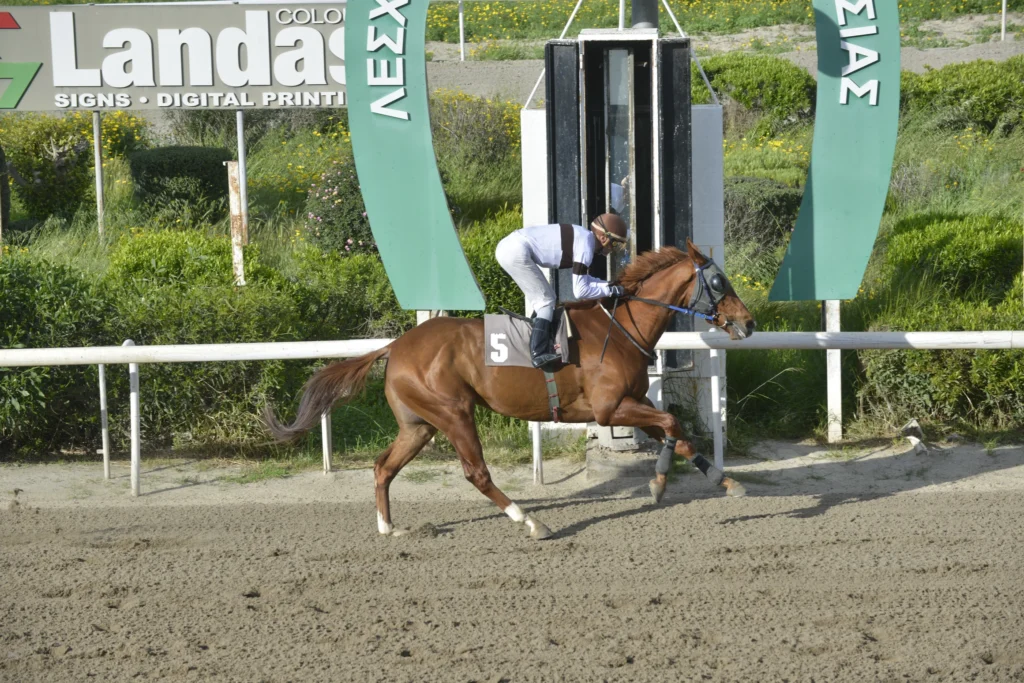ΙΠΠΟΔΡΟΜΟΣ ΚΥΠΡΟΣ / IPPODROMOS KYPROS ΕΣΠΡΕΣΟ - 29/03/2026