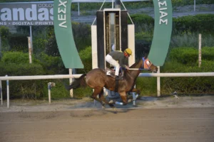 ΙΠΠΟΔΡΟΜΟΣ ΚΥΠΡΟΣ / IPPODROMOS KYPROS ΜΑΝΤΑΜ - 25/03/2026