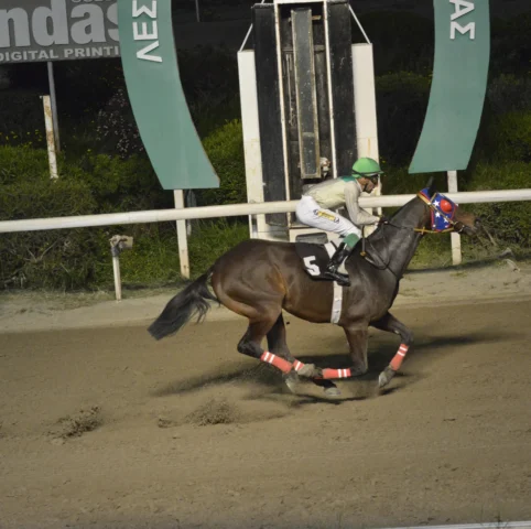 ΙΠΠΟΔΡΟΜΟΣ ΚΥΠΡΟΣ / IPPODROMOS KYPROS ΜΑΡΙΟΣ ΑΓΓΕΛΟΣ - 11/03/2026