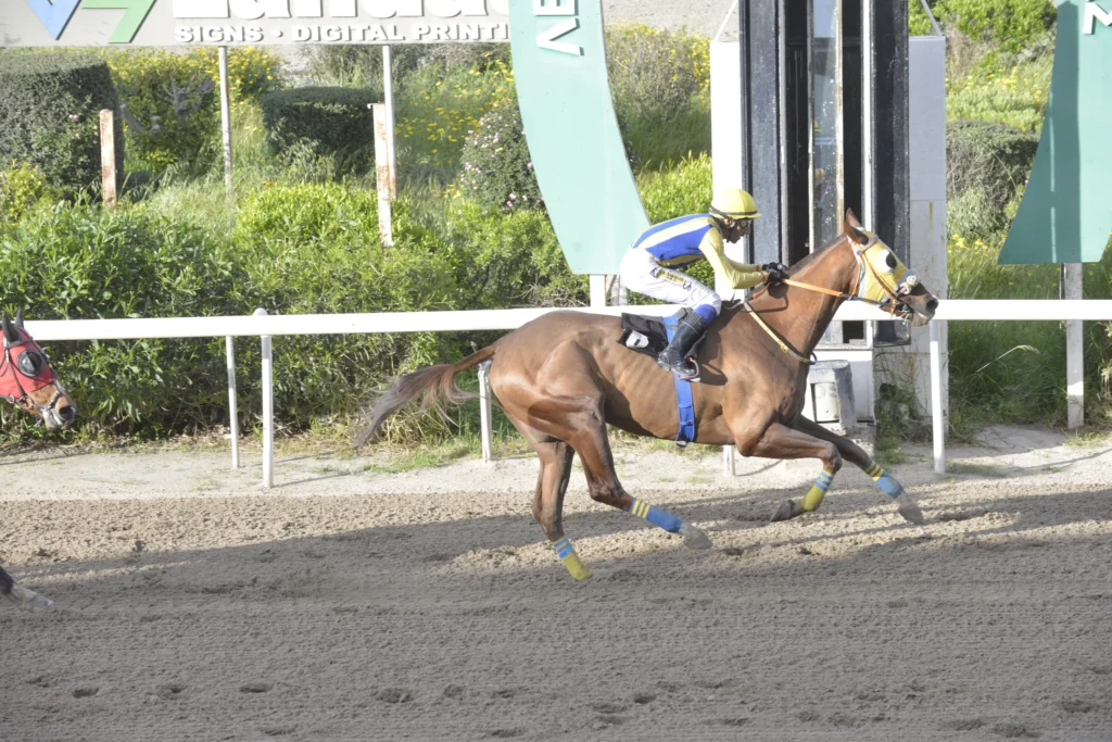 ΙΠΠΟΔΡΟΜΟΣ ΚΥΠΡΟΣ / IPPODROMOS KYPROS ΟΜΠΡΙΓΚΑΔΟ - 29/03/2026