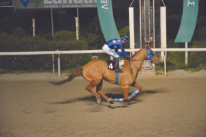 ΙΠΠΟΔΡΟΜΟΣ ΚΥΠΡΟΣ / IPPODROMOS KYPROS ΤΣΑΓΓΑΡΑΣ ΜΠΡΑΔΕΡ - 04/03/2026