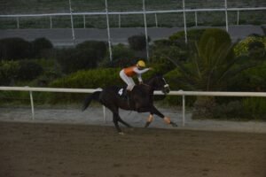 ΙΠΠΟΔΡΟΜΟΣ ΚΥΠΡΟΣ / IPPODROMOS KYPROS ΚΥΠΕΛΛΟ ΣΕΝΤ ΛΕΤΖΕΡ - ΚΙΓΚ ΒΑΚΛΑΣ- 08/03/2026