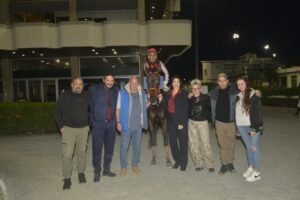 ΙΠΠΟΔΡΟΜΟΣ ΚΥΠΡΟΣ / IPPODROMOS KYPROS ΣΠΙΡΙΤ - 18/03/2026