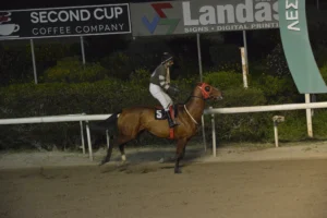 ΙΠΠΟΔΡΟΜΟΣ ΚΥΠΡΟΣ / IPPODROMOS KYPROS ΤΖΩΝΥ ΜΠΟΥΜ - ΕΠΑΘΛΟ ΜΙΑΣ ΜΗΛΙΑΣ - 11/03/2026