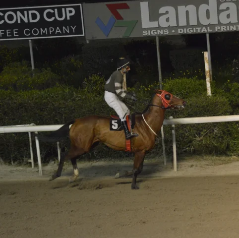 ΙΠΠΟΔΡΟΜΟΣ ΚΥΠΡΟΣ / IPPODROMOS KYPROS ΤΖΩΝΥ ΜΠΟΥΜ - ΕΠΑΘΛΟ ΜΙΑΣ ΜΗΛΙΑΣ - 11/03/2026