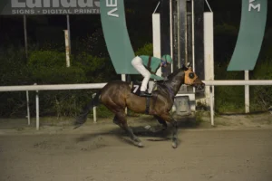 ΙΠΠΟΔΡΟΜΟΣ ΚΥΠΡΟΣ / IPPODROMOS KYPROS ΚΟΥΝΙΕΡΗΣ - 25/03/2026