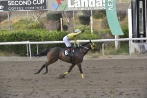 ΙΠΠΟΔΡΟΜΟΣ ΚΥΠΡΟΣ / IPPODROMOS KYPROS