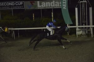 ΙΠΠΟΔΡΟΜΟΣ ΚΥΠΡΟΣ / IPPODROMOS KYPROS ΣΕΡ ΔΗΜΗΤΡΗΣ - 26/03/2026