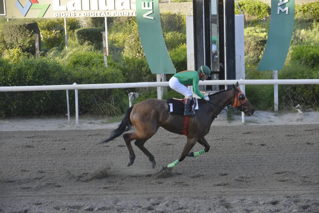 ΙΠΠΟΔΡΟΜΟΣ ΚΥΠΡΟΣ / IPPODROMOS KYPROS ΘΑΛΑΣΣΙΝΟΣ - 29/03/2026