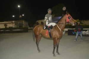 ΙΠΠΟΔΡΟΜΟΣ ΚΥΠΡΟΣ / IPPODROMOS KYPROS ΤΖΩΝΥ ΜΠΟΥΜ - ΕΠΑΘΛΟ ΜΙΑΣ ΜΗΛΙΑΣ - 11/03/2026