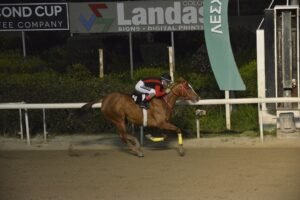 ΙΠΠΟΔΡΟΜΟΣ ΚΥΠΡΟΣ / IPPODROMOS KYPROS