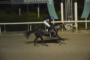 ΙΠΠΟΔΡΟΜΟΣ ΚΥΠΡΟΣ / IPPODROMOS KYPROS ΓΚΙΜΛΙ - 25/03/2026