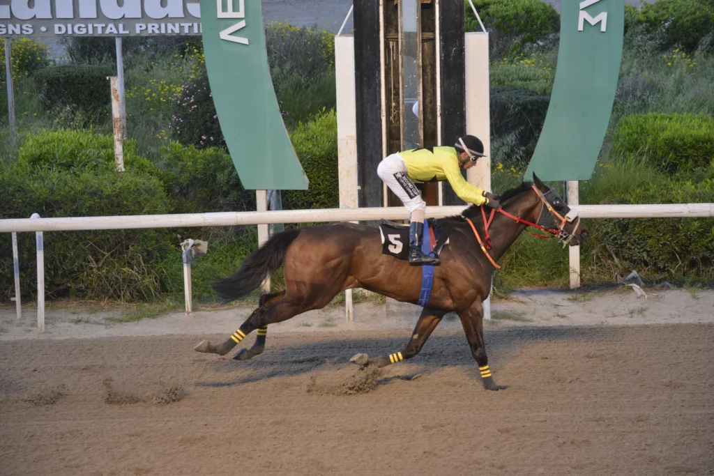 ΙΠΠΟΔΡΟΜΟΣ ΚΥΠΡΟΣ / IPPODROMOS KYPROS