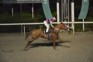 ΙΠΠΟΔΡΟΜΟΣ ΚΥΠΡΟΣ / IPPODROMOS KYPROS ΤΑΡΑΣ ΚΙΓΚ - 26/03/2026