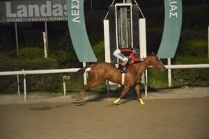 ΙΠΠΟΔΡΟΜΟΣ ΚΥΠΡΟΣ / IPPODROMOS KYPROS ΚΡΕΪΖΙ ΣΟΥΣΟΥ - 08/03/2026