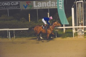 ΙΠΠΟΔΡΟΜΟΣ ΚΥΠΡΟΣ / IPPODROMOS KYPROS ΙΝΤΙΓΚΟ ΚΙΝΓΚΝΤΟΜ - 01/03/2026