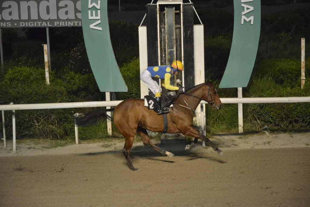 ΙΠΠΟΔΡΟΜΟΣ ΚΥΠΡΟΣ / IPPODROMOS KYPROS ΙΝΤΕΛΙΤΖΕΝΣ - 29/03/2026