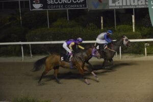 ΙΠΠΟΔΡΟΜΟΣ ΚΥΠΡΟΣ / IPPODROMOS KYPROS ΜΑΡΟΚΚΑΝ ΡΟΟΥΖ - 08/03/2026