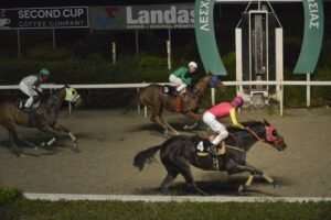 ΙΠΠΟΔΡΟΜΟΣ ΚΥΠΡΟΣ / IPPODROMOS KYPROS ΜΑΥΡΗ ΚΑΛΛΟΝΗ - 26/03/2026