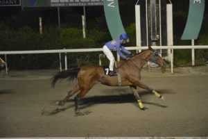 ΙΠΠΟΔΡΟΜΟΣ ΚΥΠΡΟΣ / IPPODROMOS KYPROS ΟΔΥΣΣΕΑΣ - 25/03/2026