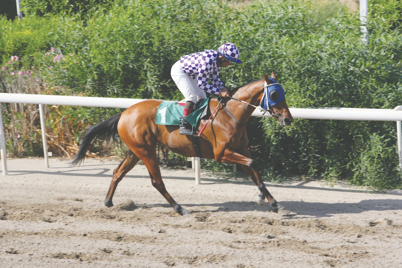 ΙΠΠΟΔΡΟΜΟΣ ΚΥΠΡΟΣ / IPPODROMOS KYPROS