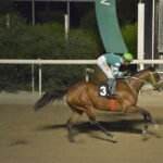 ΙΠΠΟΔΡΟΜΟΣ ΚΥΠΡΟΣ / IPPODROMOS KYPROS