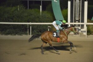 ΙΠΠΟΔΡΟΜΟΣ ΚΥΠΡΟΣ / IPPODROMOS KYPROS