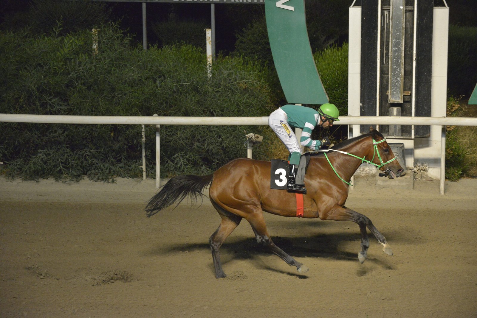 ΙΠΠΟΔΡΟΜΟΣ ΚΥΠΡΟΣ / IPPODROMOS KYPROS