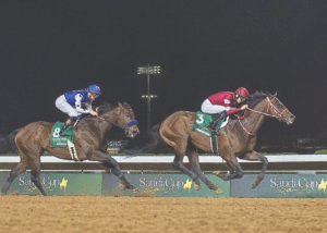 ΙΠΠΟΔΡΟΜΟΣ ΚΥΠΡΟΣ / IPPODROMOS KYPROS