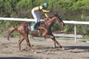 ΙΠΠΟΔΡΟΜΟΣ ΚΥΠΡΟΣ / IPPODROMOS KYPROS