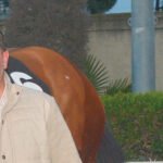 ΙΠΠΟΔΡΟΜΟΣ ΚΥΠΡΟΣ / IPPODROMOS KYPROS