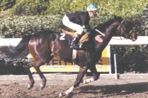 ΙΠΠΟΔΡΟΜΟΣ ΚΥΠΡΟΣ / IPPODROMOS KYPROS