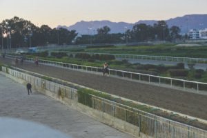 ΙΠΠΟΔΡΟΜΟΣ ΚΥΠΡΟΣ / IPPODROMOS KYPROS