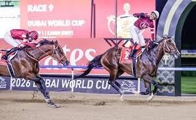 ΙΠΠΟΔΡΟΜΟΣ ΚΥΠΡΟΣ / IPPODROMOS KYPROS