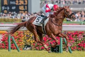 ΙΠΠΟΔΡΟΜΟΣ ΚΥΠΡΟΣ / IPPODROMOS KYPROS