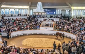 ΙΠΠΟΔΡΟΜΟΣ ΚΥΠΡΟΣ / IPPODROMOS KYPROS