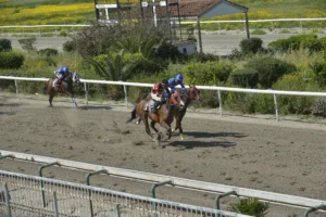 ΙΠΠΟΔΡΟΜΟΣ ΚΥΠΡΟΣ / IPPODROMOS KYPROS - ΑΙΜΙΛΙΑΝΟΣ - 13/04/2026