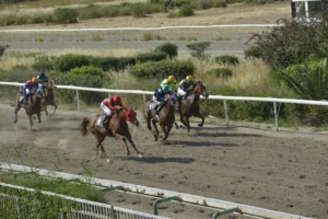 ΙΠΠΟΔΡΟΜΟΣ ΚΥΠΡΟΣ / IPPODROMOS KYPROS ΦΡΑΝΤΖΕΣΚΑ 26/04/2026