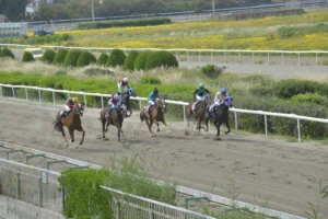 ΙΠΠΟΔΡΟΜΟΣ ΚΥΠΡΟΣ / IPPODROMOS KYPROS ΓΚΡΕΙΤΣΠΙΡΙΤ - 19/04/2026