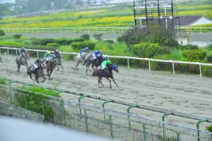 ΙΠΠΟΔΡΟΜΟΣ ΚΥΠΡΟΣ / IPPODROMOS KYPROS ΧΑΒΑΗ ΛΑΙΟΝ - 05/04/2026