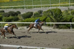 ΙΠΠΟΔΡΟΜΟΣ ΚΥΠΡΟΣ / IPPODROMOS KYPROS ΤΖΑΣΤ ΑΑΡΟΝ - 08/04/2026