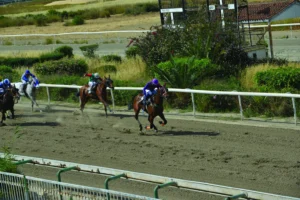 ΙΠΠΟΔΡΟΜΟΣ ΚΥΠΡΟΣ / IPPODROMOS KYPROS ΚΑΘΗΓΗΤΡΙΑ - 29/04/2026