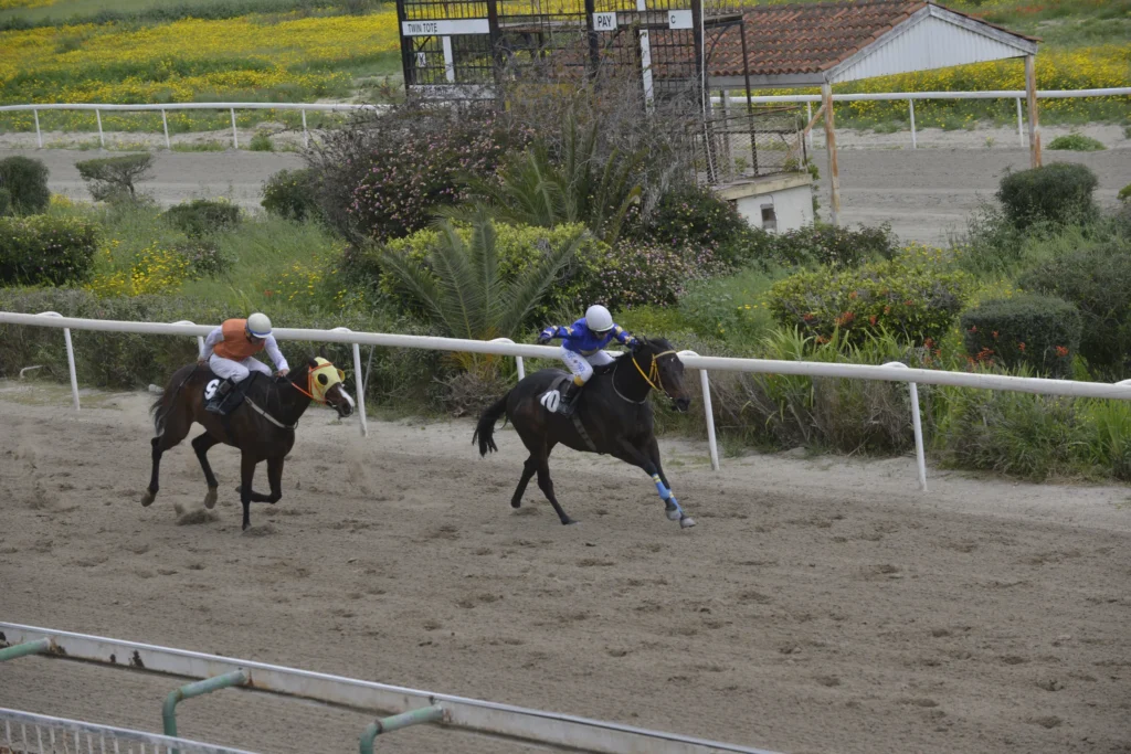 ΙΠΠΟΔΡΟΜΟΣ ΚΥΠΡΟΣ / IPPODROMOS KYPROS ΜΑΜΑΝΤΟΥ - 01/04/2026