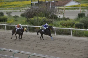 ΙΠΠΟΔΡΟΜΟΣ ΚΥΠΡΟΣ / IPPODROMOS KYPROS ΜΑΜΑΝΤΟΥ - 01/04/2026